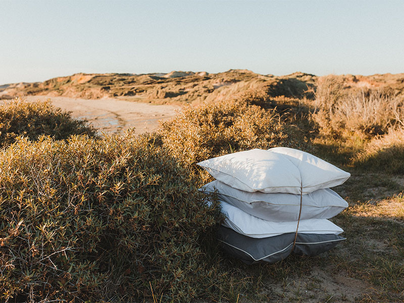 Taies d'oreiller dans les dunes